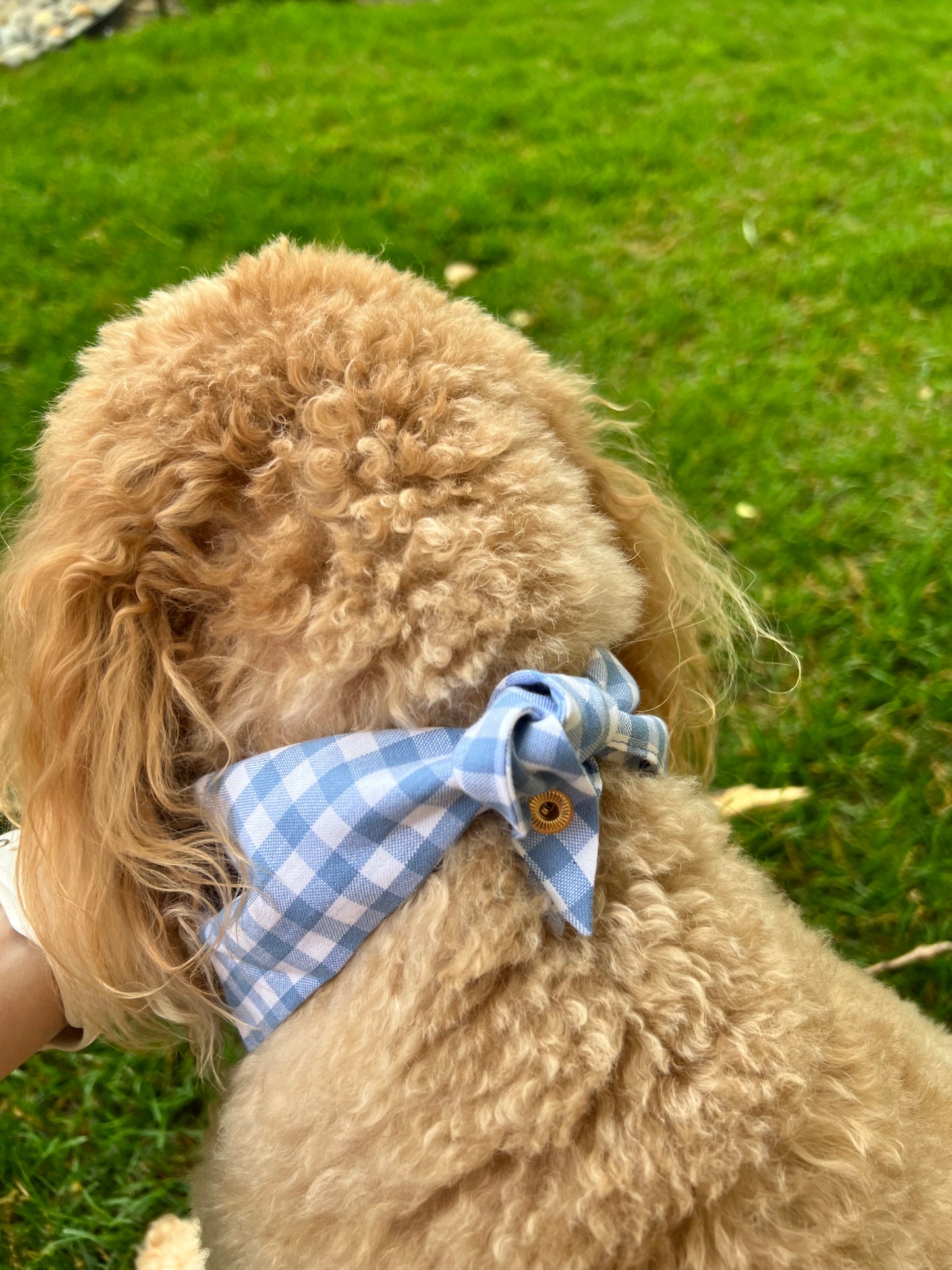 AGD Dog Bandana